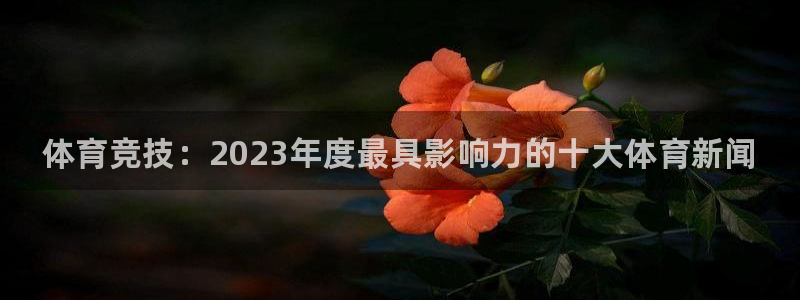 3377体育官方正版app娱乐代理怎么样:体育竞技:2023