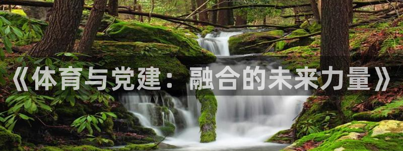 3377体育官网下载平台:《体育与党建:融合的未来力量》