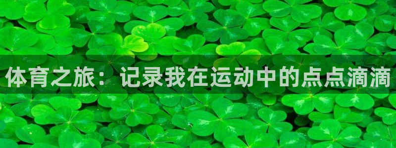 3377体育官网下载平台注册流程视频:体育之旅:记录我在运动